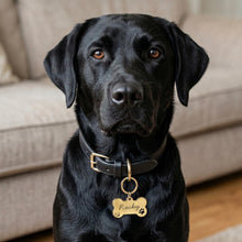Personalised Engraved Dog Name Tag