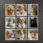 Custom Pet Photo Fridge Magnet