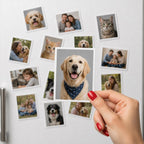 Custom Pet Photo Fridge Magnet